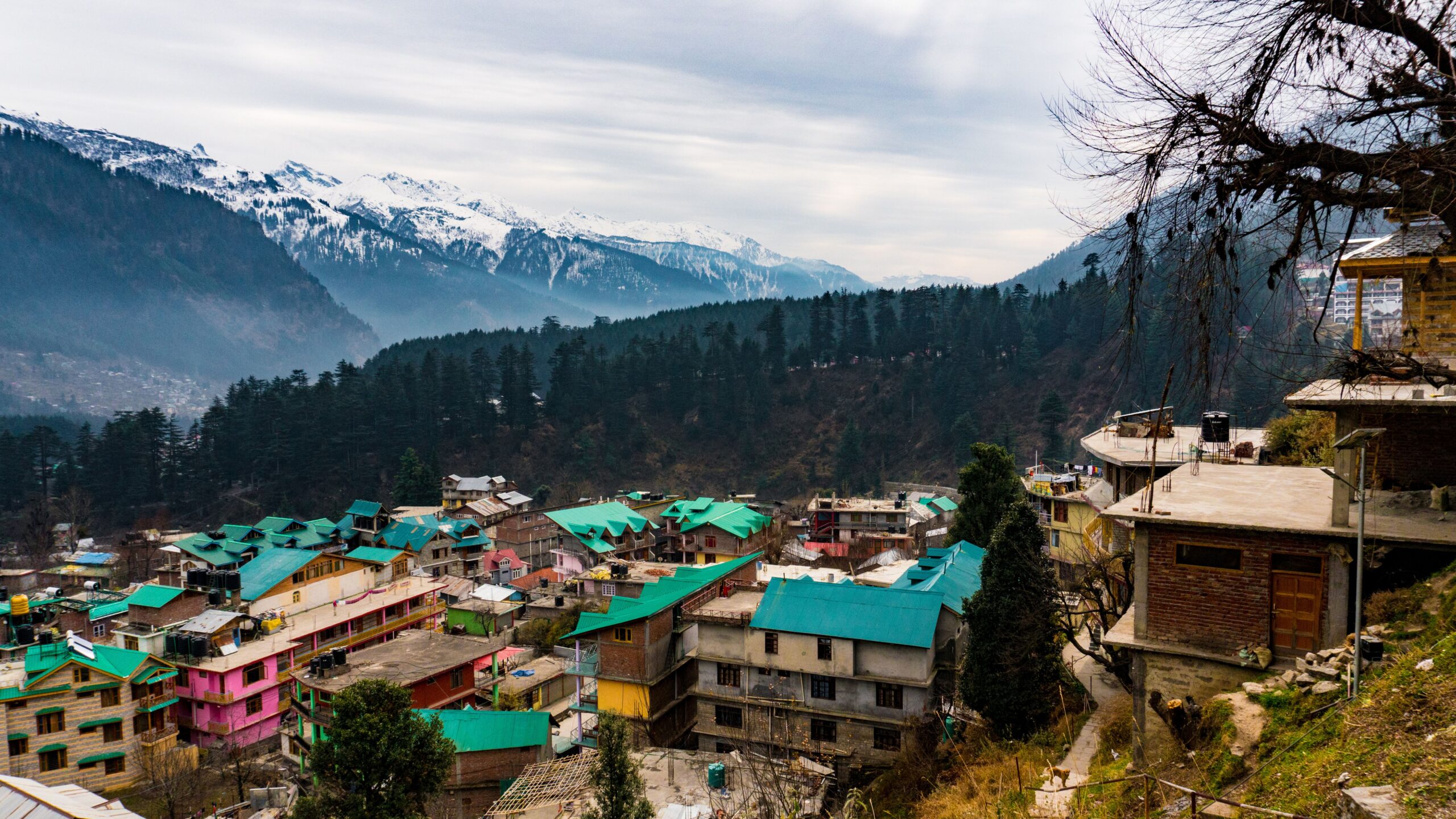 Paradise In Manali