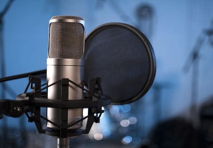 Professional voice over services