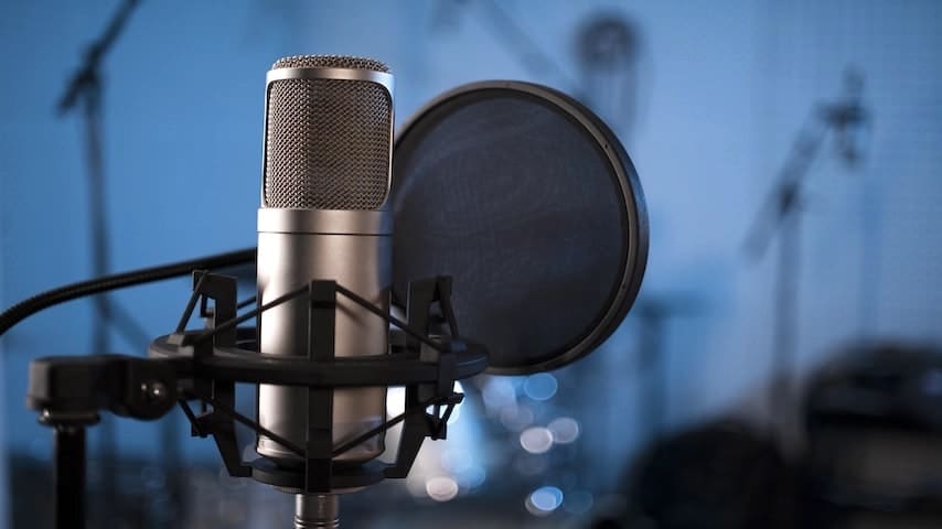 Professional voice over services