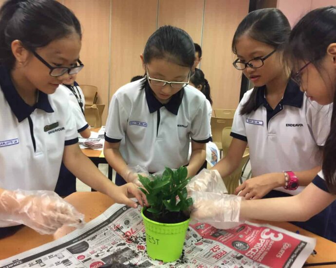 Environmental education in Singapore