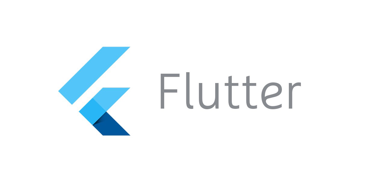 flutter app