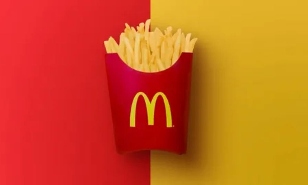 french fry boxes wholesale