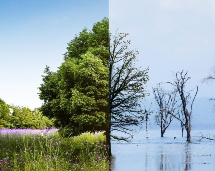 fight climate change