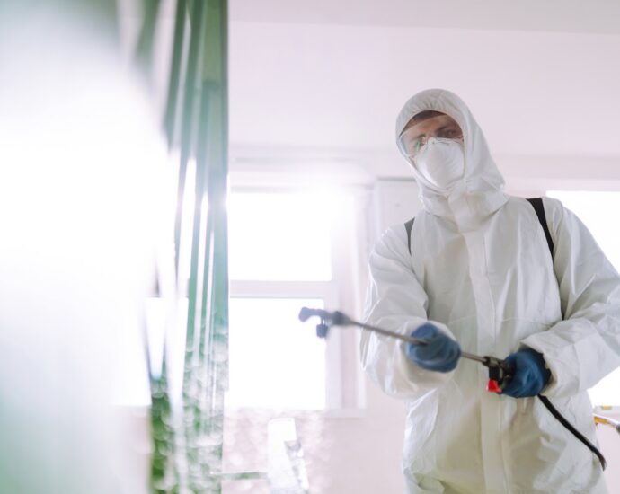 termite-control-Singapore