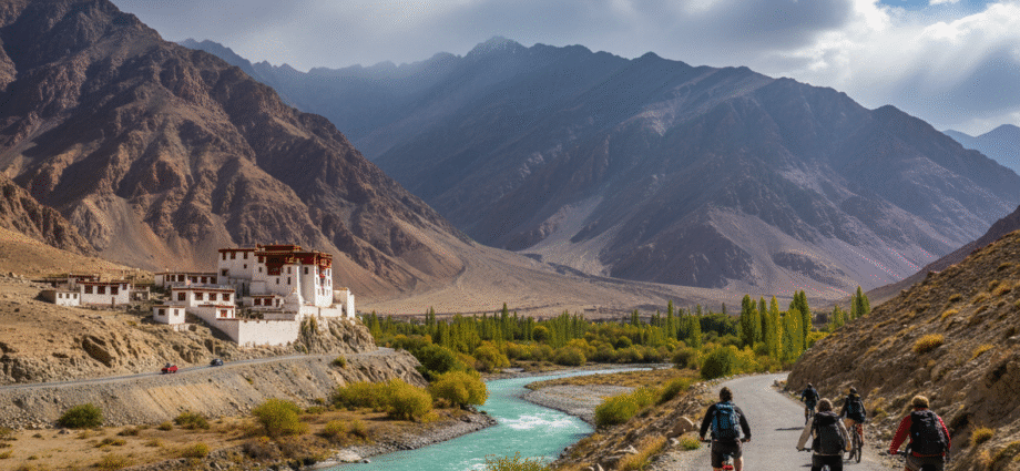 ladakh tour packages
